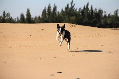《灵魂骇客2》召唤师指南Vol.6 介绍安全屋和新难度